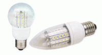 ZAROWKI60SMD